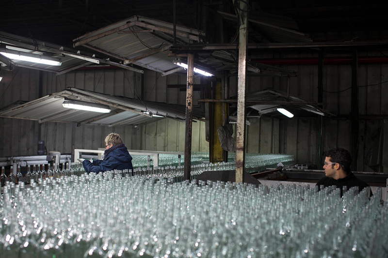 Glass bottles move on the production line.
